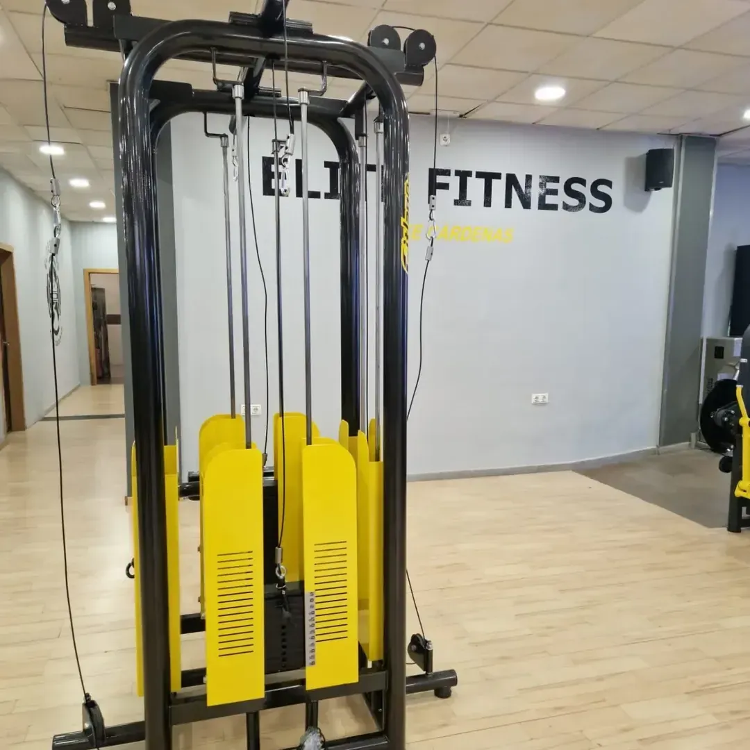 Instalaciones de Élite Fitness — Mijas Costa (2)